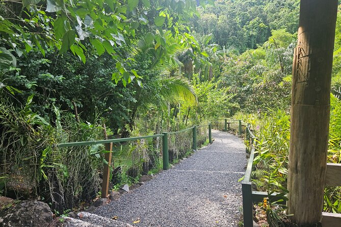 Private Tour: Hot spings & Sleeping Giant Garden hiking Adventure - Should you book this tour?
