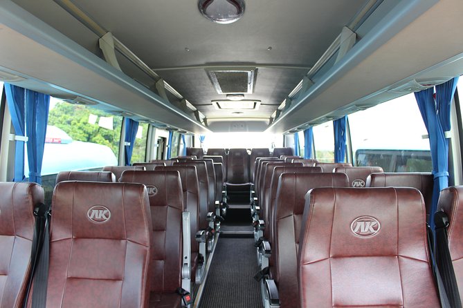 Private Transfer from Nadi Airport to Denarau Hotels/Double-Tree Fiji - What the driver adds to the transfer