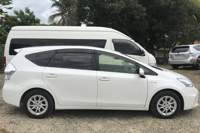 Private Transfer-Nadi Airport To Double Tree Resort by Hilton - The roughly one-hour ride to Sonaisali Island