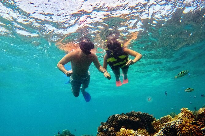 Ride & Slide by South Sea Cats - Half Day Snorkelling Trip - The giant slide makes the boat your playground