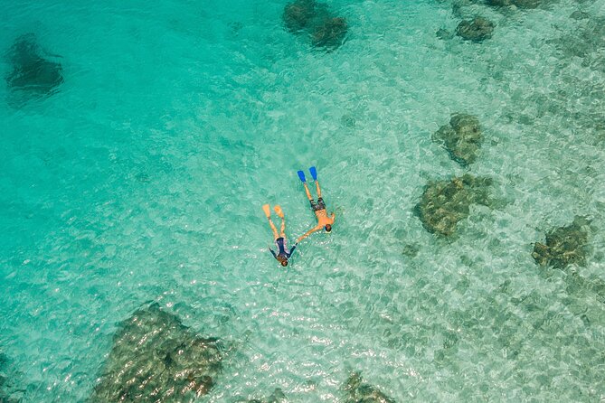Ride & Slide by South Sea Cats - Half Day Snorkelling Trip - Who will get the most from this half-day trip