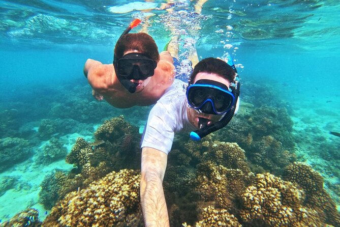 Ride & Slide by South Sea Cats - Half Day Snorkelling Trip - Lunch, drinks, and what the $107.10 includes
