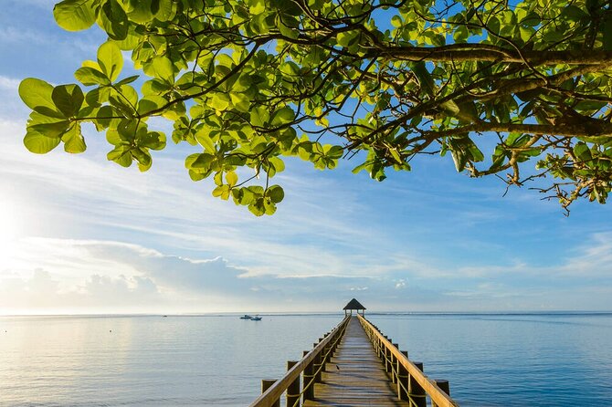 Round The Island Day Trip Fiji- Viti Levu - Maui Bay: a 15-minute marine-life stop