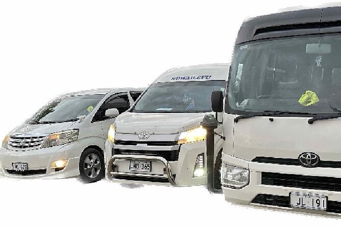 Round Trip Transfer-Nadi Airport to Denarau Island Resorts - Families should request the baby seat early