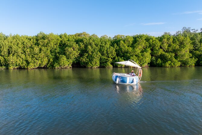 Self Drive BBQ eBoat Cruise with Onboard BBQ Denarau Fiji - Starting at Port Denarau with a 30-minute skipper lesson