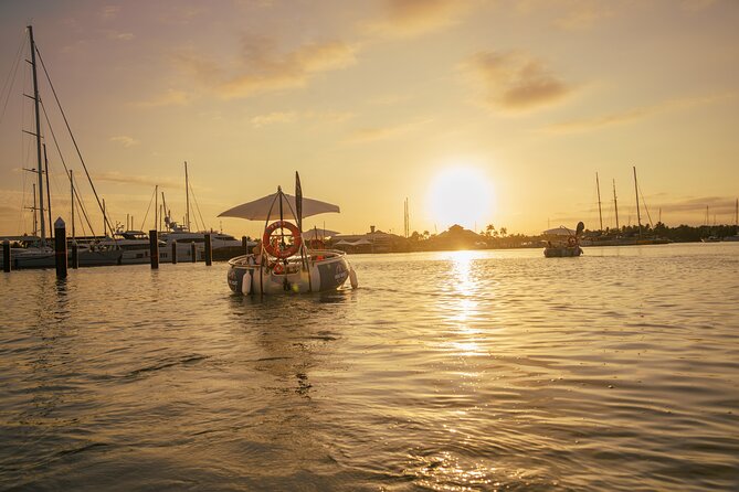 Self Drive BBQ eBoat Cruise with Onboard BBQ Denarau Fiji - Practical tips for a smoother afternoon