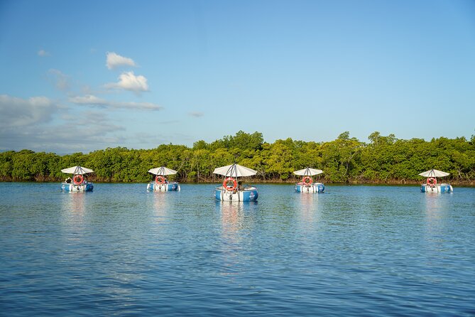 Self Drive BBQ eBoat Cruise with Onboard BBQ Denarau Fiji - Quiet electric cruising through Fiji’s mangroves