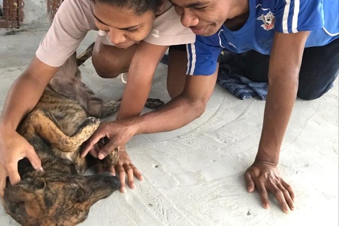 Shelter Visit & Tour - Why Families and Animal Lovers Like It