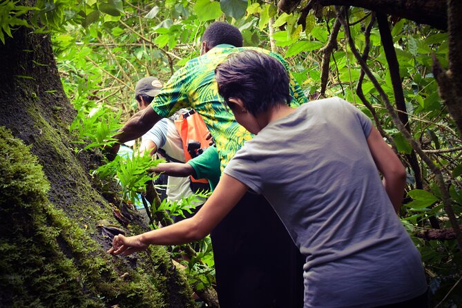 Small Group Hiking Adventure - Hidden Peaks - Who should book this private hike?