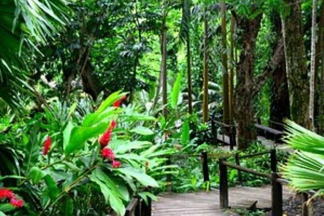 South Sea Island Half Day with Lunch & Drinks - Who Will Enjoy This Trip Most