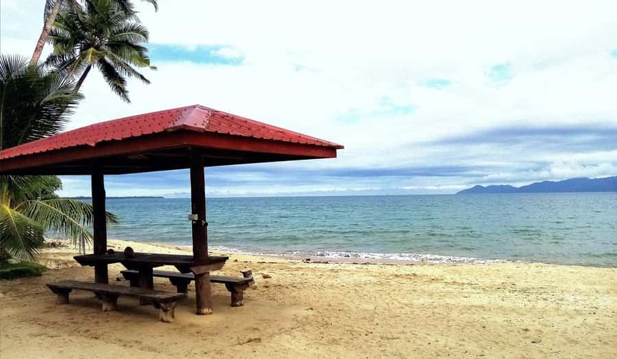Suva Cruise Ship Tour - Colo-I-Suva Forest Park and its possible swim