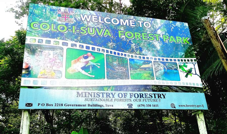 Suva Cruise Ship Tour - The scenic road to Nausori