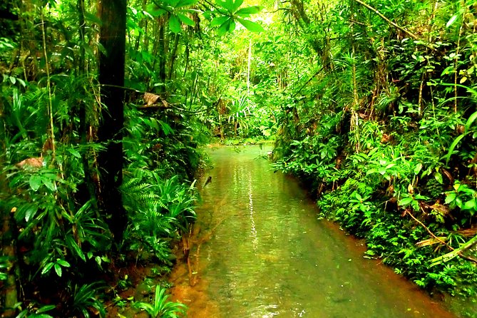 Suva Customized tour- Private - The guides and the language advantage