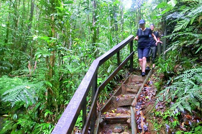 Suva Customized tour- Private - Price, extras, and the real value