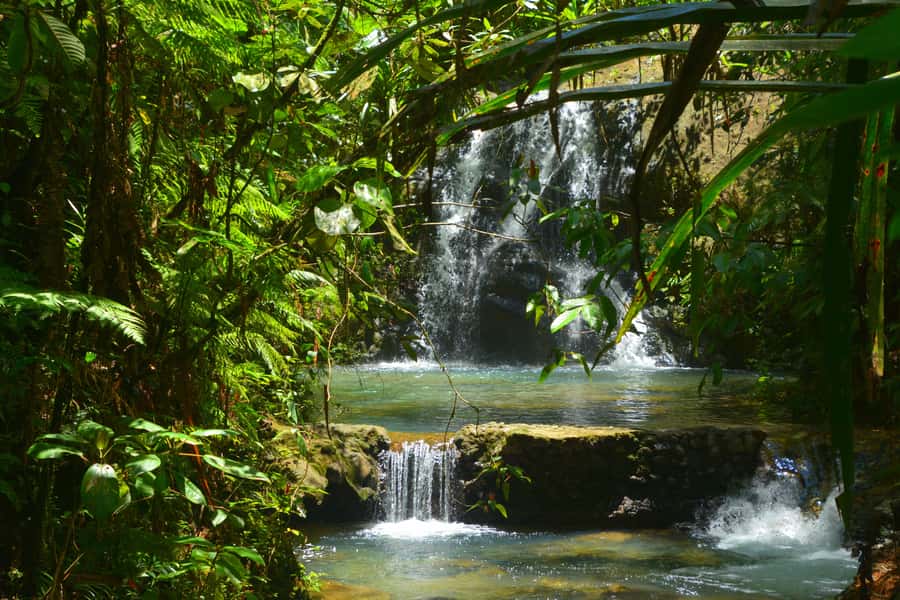 Suva: Fijian Nature and Waterfall Tour - Leaving Suva for Colo-I-Suva