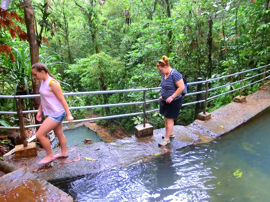 Suva: Fijian Nature and Waterfall Tour - Waisila Falls and the lower pool