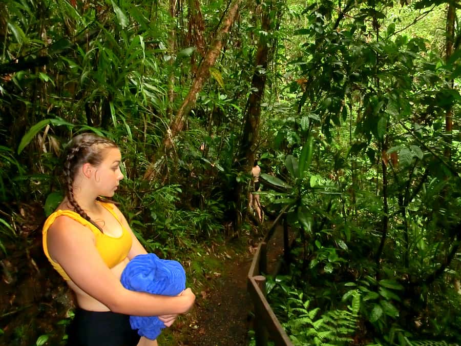 Suva: Fijian Nature and Waterfall Tour - Photography, barbecue, and extra time