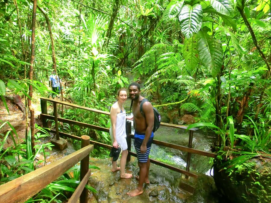 Suva: Fijian Nature and Waterfall Tour - What the private format adds