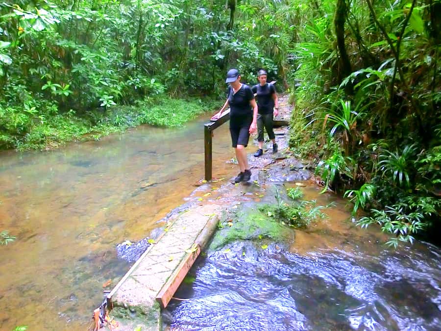 Suva: Fijian Nature and Waterfall Tour - Is $69 a fair price?