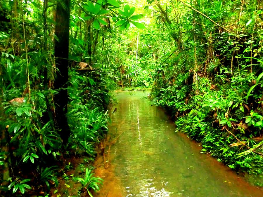 Suva: Fijian Nature and Waterfall Tour - Should you book it?