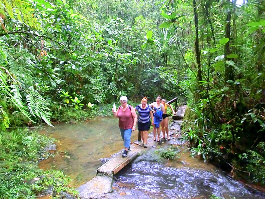Suva: Half Day City Sightseeing Tour - Thurston Botanical Gardens for a calmer pause