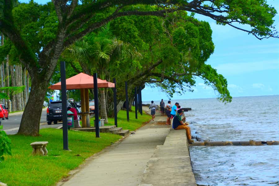 Suva: Half Day City Sightseeing Tour - Suva Municipal Market and the lunch break