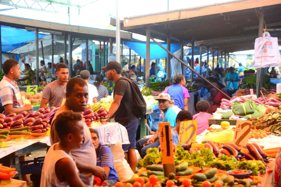 Suva: Half Day City Sightseeing Tour - Government Handicraft Center and the final shopping stop