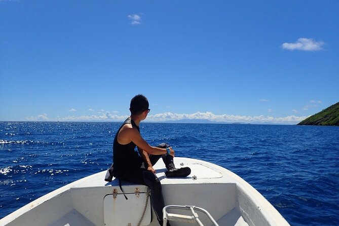 Ultimate Encounter Snorkel with Sharks in Fiji - Practical tips for a smoother day