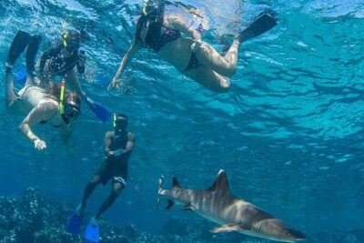 Ultimate Encounters Package – 2 Days | 1 Night