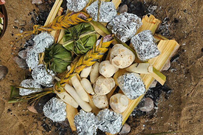 Vavavi - Fijian Cooking & Cultural Experience - A good choice for families and mixed-age groups