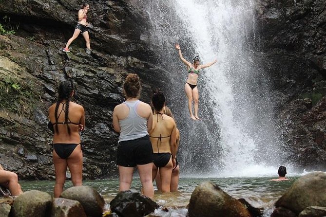 Waterfall and Fijian Village Tour with Light Lunch ex Nadi Area Hotels - Key Points To Know Before You Book