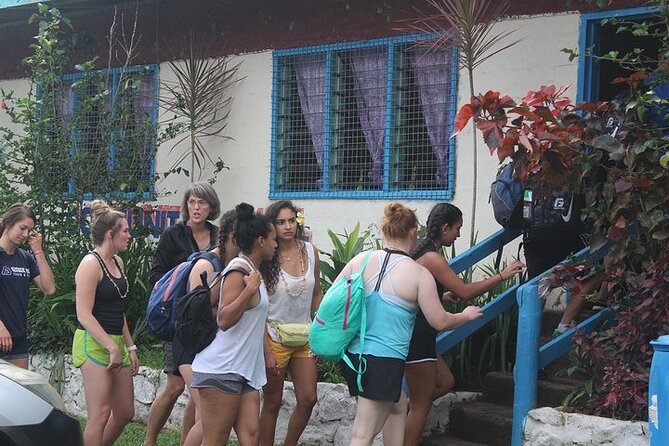 Waterfall and Fijian Village Tour with Light Lunch ex Nadi Area Hotels - Meeting Children At The Village Preschool