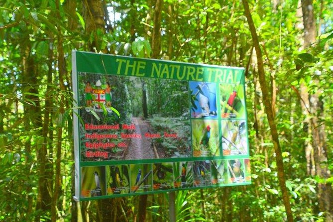 Waterfalls and Nature Tour - Why Colo-I-Suva makes a good break from Suva