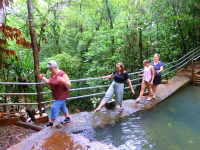 Waterfalls and Nature Tour