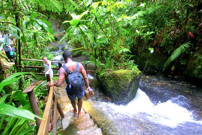 Waterfalls and Nature Tour - Swimming in the natural pools