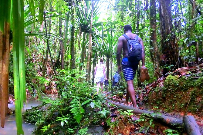 Waterfalls and Nature Tour - What the $91.72 price really covers