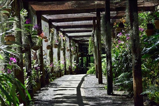 Wonders of Nadi Tour - Hindu Temple, Sleeping Giant Gardens, Markets & Shopping - Who will enjoy this tour most?