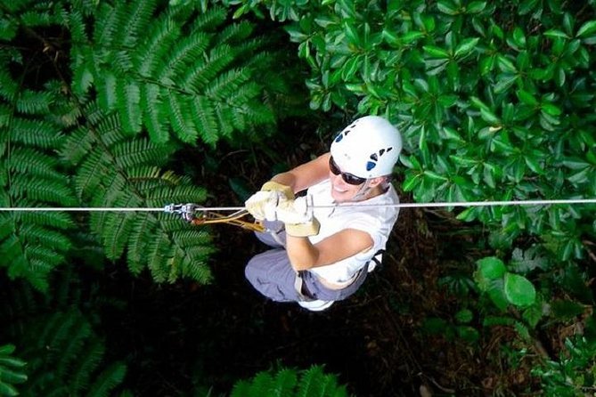 Zip line Fiji ex Fiji Marriot w/private transfer dropoff Nadi Airport or resort - The Morning and Afternoon Schedule