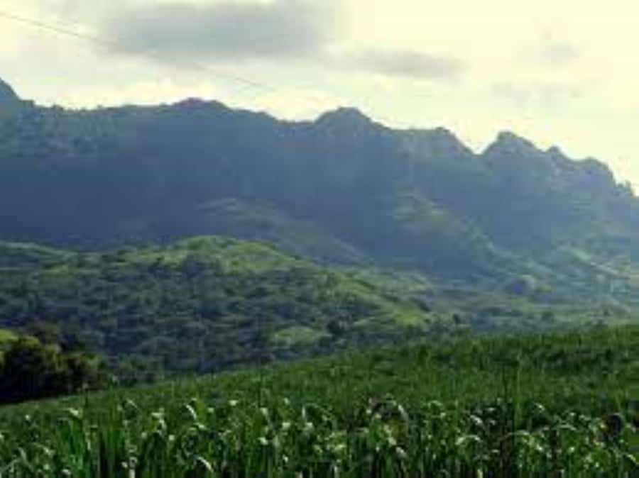 Zipline, Cave, Seaview & Mud Spa Tour with Lunch Included - Lunch arrives at the zipline site